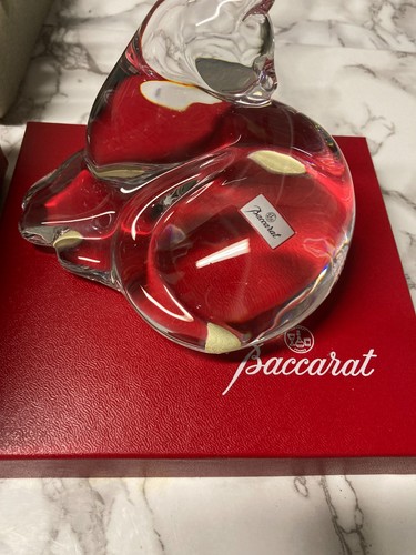 Baccarat grooming reclining - baccarat, grooming/reclining